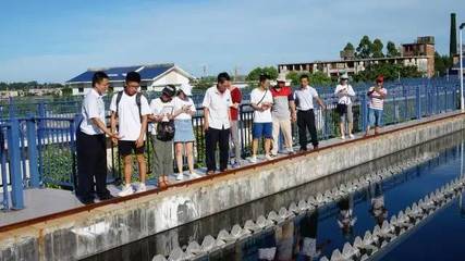 巡訪東山溪流，看我材料河小禹——污水處理與再生利用實踐探索